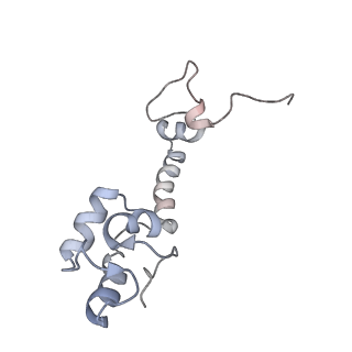 6316_3ja1_SM_v1-3
Activation of GTP Hydrolysis in mRNA-tRNA Translocation by Elongation Factor G