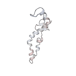 6316_3ja1_SN_v1-2
Activation of GTP Hydrolysis in mRNA-tRNA Translocation by Elongation Factor G