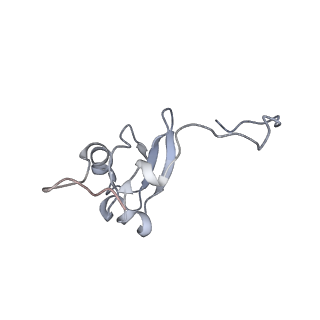 6316_3ja1_SS_v1-3
Activation of GTP Hydrolysis in mRNA-tRNA Translocation by Elongation Factor G