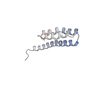 6316_3ja1_ST_v1-2
Activation of GTP Hydrolysis in mRNA-tRNA Translocation by Elongation Factor G