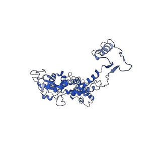 6324_3ja7_A_v1-2
Cryo-EM structure of the bacteriophage T4 portal protein assembly at near-atomic resolution