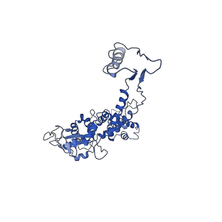 6324_3ja7_B_v1-2
Cryo-EM structure of the bacteriophage T4 portal protein assembly at near-atomic resolution