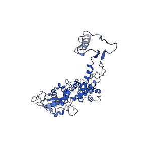 6324_3ja7_B_v1-3
Cryo-EM structure of the bacteriophage T4 portal protein assembly at near-atomic resolution