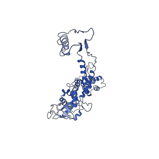 6324_3ja7_C_v1-2
Cryo-EM structure of the bacteriophage T4 portal protein assembly at near-atomic resolution