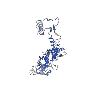 6324_3ja7_C_v1-3
Cryo-EM structure of the bacteriophage T4 portal protein assembly at near-atomic resolution