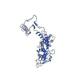 6324_3ja7_D_v1-2
Cryo-EM structure of the bacteriophage T4 portal protein assembly at near-atomic resolution