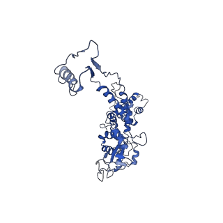 6324_3ja7_D_v1-3
Cryo-EM structure of the bacteriophage T4 portal protein assembly at near-atomic resolution