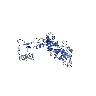 6324_3ja7_F_v1-2
Cryo-EM structure of the bacteriophage T4 portal protein assembly at near-atomic resolution