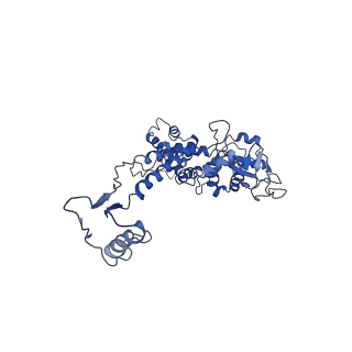 6324_3ja7_G_v1-2
Cryo-EM structure of the bacteriophage T4 portal protein assembly at near-atomic resolution