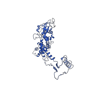 6324_3ja7_J_v1-2
Cryo-EM structure of the bacteriophage T4 portal protein assembly at near-atomic resolution