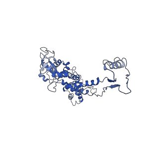 6324_3ja7_L_v1-3
Cryo-EM structure of the bacteriophage T4 portal protein assembly at near-atomic resolution