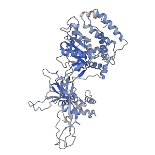 6338_3ja8_2_v1-3
Cryo-EM structure of the MCM2-7 double hexamer