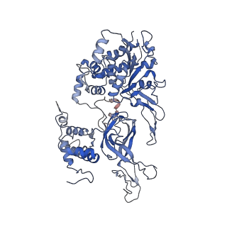 6338_3ja8_4_v1-3
Cryo-EM structure of the MCM2-7 double hexamer