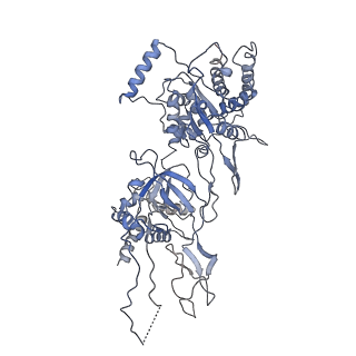 6338_3ja8_6_v1-3
Cryo-EM structure of the MCM2-7 double hexamer