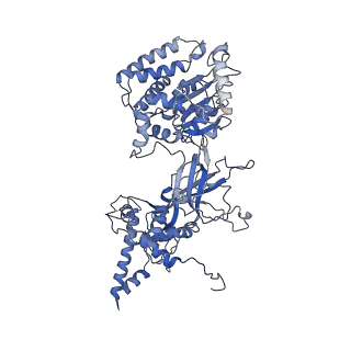 6338_3ja8_7_v1-3
Cryo-EM structure of the MCM2-7 double hexamer