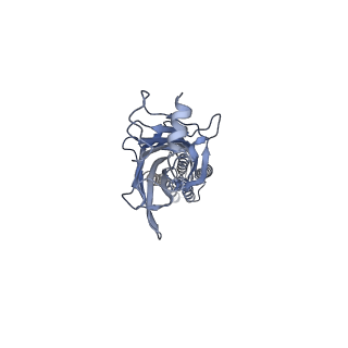 6344_3jad_B_v1-3
Structure of alpha-1 glycine receptor by single particle electron cryo-microscopy, strychnine-bound state