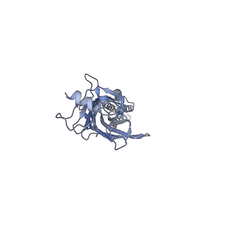 6344_3jad_C_v1-3
Structure of alpha-1 glycine receptor by single particle electron cryo-microscopy, strychnine-bound state