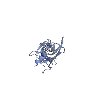 6344_3jad_D_v1-3
Structure of alpha-1 glycine receptor by single particle electron cryo-microscopy, strychnine-bound state