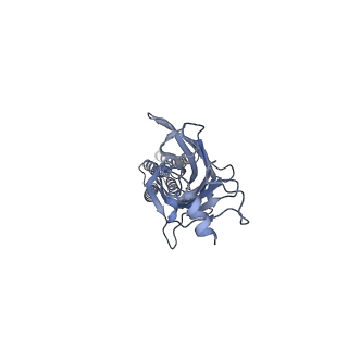 6344_3jad_E_v1-3
Structure of alpha-1 glycine receptor by single particle electron cryo-microscopy, strychnine-bound state