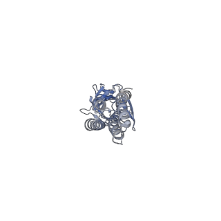 6345_3jae_C_v1-3
Structure of alpha-1 glycine receptor by single particle electron cryo-microscopy, glycine-bound state