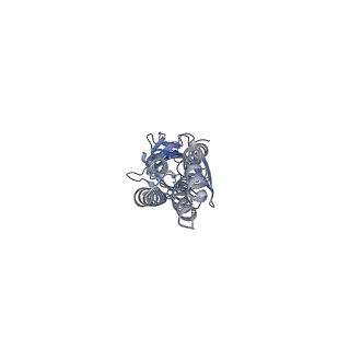 6345_3jae_C_v2-0
Structure of alpha-1 glycine receptor by single particle electron cryo-microscopy, glycine-bound state