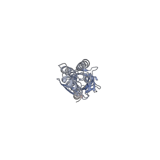 6345_3jae_E_v1-3
Structure of alpha-1 glycine receptor by single particle electron cryo-microscopy, glycine-bound state