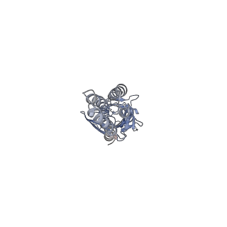 6345_3jae_E_v2-0
Structure of alpha-1 glycine receptor by single particle electron cryo-microscopy, glycine-bound state