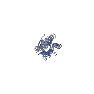 6346_3jaf_A_v1-3
Structure of alpha-1 glycine receptor by single particle electron cryo-microscopy, glycine/ivermectin-bound state