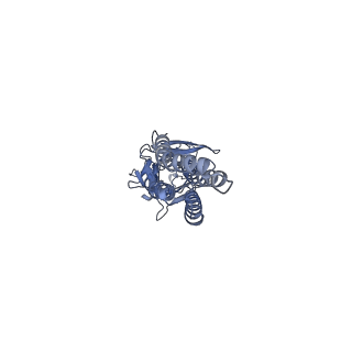 6346_3jaf_B_v1-3
Structure of alpha-1 glycine receptor by single particle electron cryo-microscopy, glycine/ivermectin-bound state
