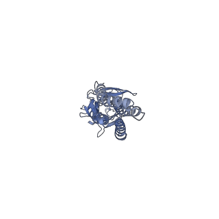 6346_3jaf_B_v2-0
Structure of alpha-1 glycine receptor by single particle electron cryo-microscopy, glycine/ivermectin-bound state