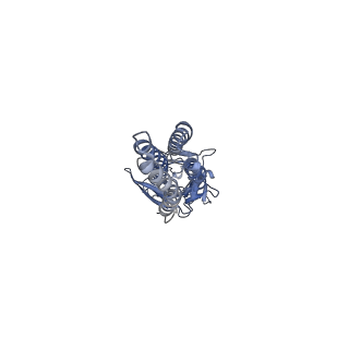 6346_3jaf_E_v1-3
Structure of alpha-1 glycine receptor by single particle electron cryo-microscopy, glycine/ivermectin-bound state