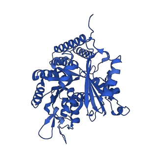 6349_3jak_A_v1-3
Cryo-EM structure of GTPgammaS-microtubule co-polymerized with EB3 (merged dataset with and without kinesin bound)