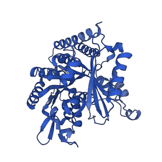 6349_3jak_B_v1-4
Cryo-EM structure of GTPgammaS-microtubule co-polymerized with EB3 (merged dataset with and without kinesin bound)