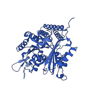 6349_3jak_C_v1-3
Cryo-EM structure of GTPgammaS-microtubule co-polymerized with EB3 (merged dataset with and without kinesin bound)