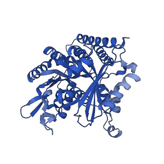 6349_3jak_D_v1-4
Cryo-EM structure of GTPgammaS-microtubule co-polymerized with EB3 (merged dataset with and without kinesin bound)