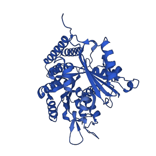 6349_3jak_E_v1-4
Cryo-EM structure of GTPgammaS-microtubule co-polymerized with EB3 (merged dataset with and without kinesin bound)