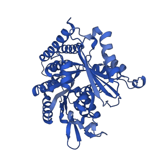 6349_3jak_G_v1-3
Cryo-EM structure of GTPgammaS-microtubule co-polymerized with EB3 (merged dataset with and without kinesin bound)