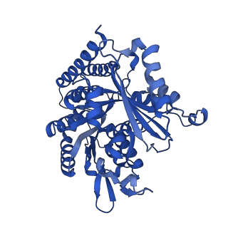 6349_3jak_G_v1-4
Cryo-EM structure of GTPgammaS-microtubule co-polymerized with EB3 (merged dataset with and without kinesin bound)