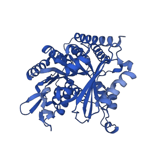 6349_3jak_I_v1-3
Cryo-EM structure of GTPgammaS-microtubule co-polymerized with EB3 (merged dataset with and without kinesin bound)