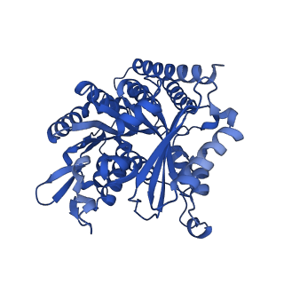 6349_3jak_I_v1-4
Cryo-EM structure of GTPgammaS-microtubule co-polymerized with EB3 (merged dataset with and without kinesin bound)