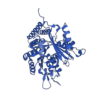 6349_3jak_J_v1-4
Cryo-EM structure of GTPgammaS-microtubule co-polymerized with EB3 (merged dataset with and without kinesin bound)