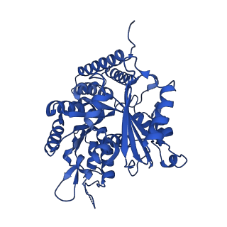 6349_3jak_K_v1-4
Cryo-EM structure of GTPgammaS-microtubule co-polymerized with EB3 (merged dataset with and without kinesin bound)