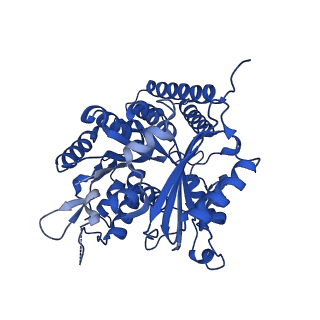6349_3jak_L_v1-3
Cryo-EM structure of GTPgammaS-microtubule co-polymerized with EB3 (merged dataset with and without kinesin bound)