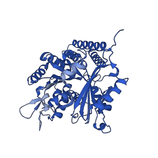 6349_3jak_L_v1-4
Cryo-EM structure of GTPgammaS-microtubule co-polymerized with EB3 (merged dataset with and without kinesin bound)