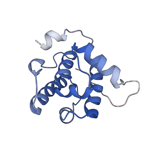 6349_3jak_M_v1-4
Cryo-EM structure of GTPgammaS-microtubule co-polymerized with EB3 (merged dataset with and without kinesin bound)