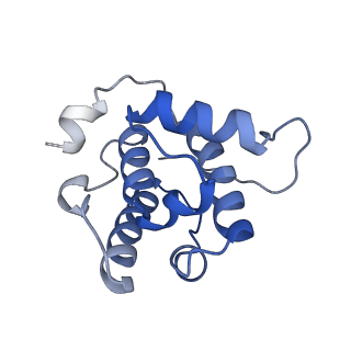 6349_3jak_N_v1-4
Cryo-EM structure of GTPgammaS-microtubule co-polymerized with EB3 (merged dataset with and without kinesin bound)