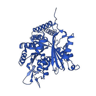 6350_3jal_A_v1-3
Cryo-EM structure of GMPCPP-microtubule co-polymerized with EB3