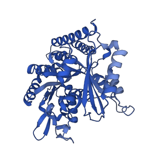 6350_3jal_B_v1-3
Cryo-EM structure of GMPCPP-microtubule co-polymerized with EB3