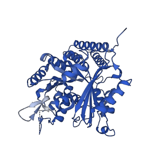 6350_3jal_C_v1-3
Cryo-EM structure of GMPCPP-microtubule co-polymerized with EB3