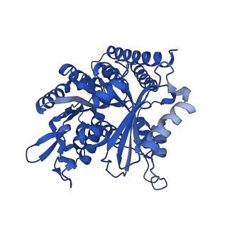 6350_3jal_D_v1-3
Cryo-EM structure of GMPCPP-microtubule co-polymerized with EB3